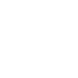 Watchwall Certified Plugin seal